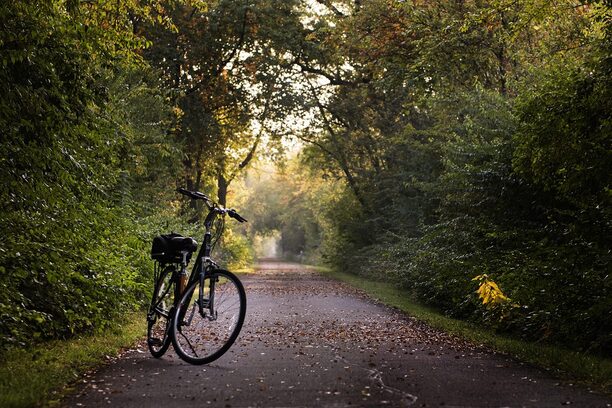 Fahrrad auf Weg im Wald